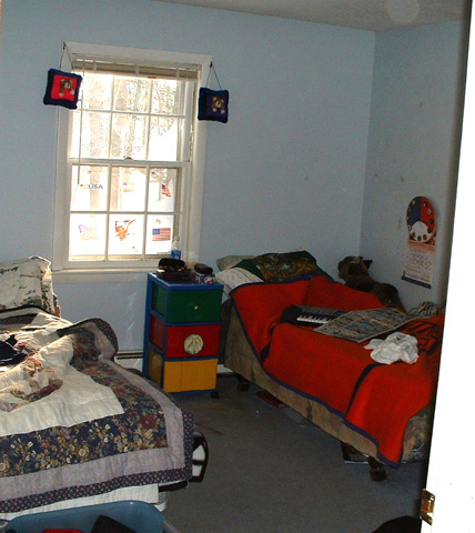 Wall Shelving - before